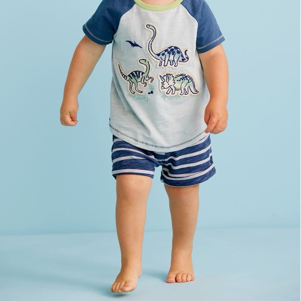 2 Piece dinosaur outfit